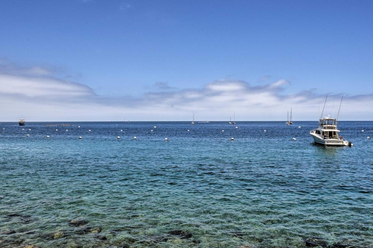 Catalina Island Cottage - Walk To Main St And Beach! Avalon Bagian luar foto